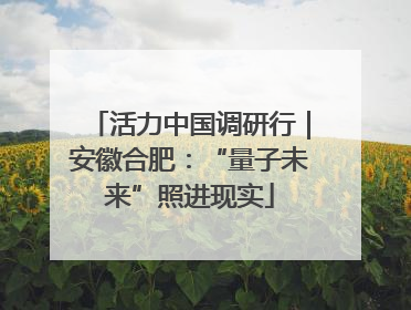 活力中国调研行｜安徽合肥：“量子未来”照进现实