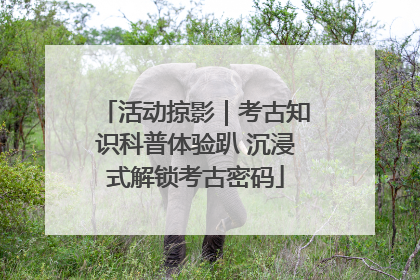 活动掠影｜考古知识科普体验趴 沉浸式解锁考古密码