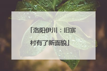 洛阳伊川：旧寨村有了新面貌