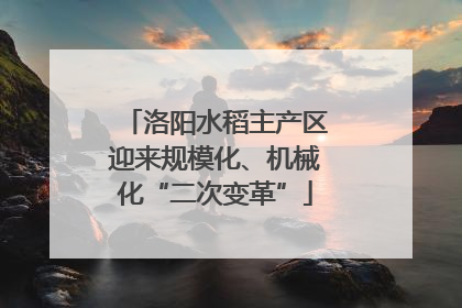 洛阳水稻主产区迎来规模化、机械化“二次变革”