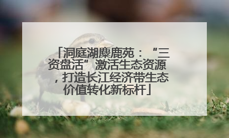 洞庭湖麋鹿苑：“三资盘活”激活生态资源，打造长江经济带生态价值转化新标杆