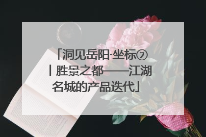 洞见岳阳·坐标②丨胜景之都——江湖名城的产品迭代