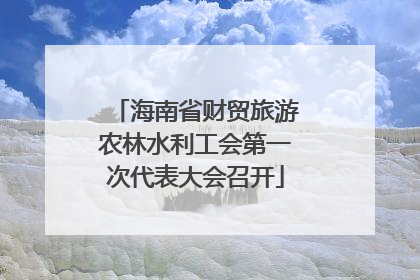 海南省财贸旅游农林水利工会第一次代表大会召开