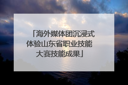 海外媒体团沉浸式体验山东省职业技能大赛技能成果