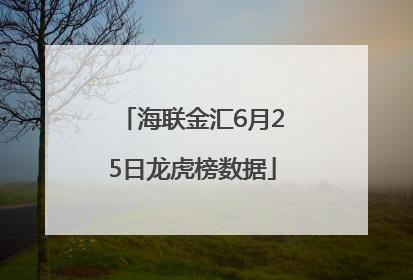 海联金汇6月25日龙虎榜数据