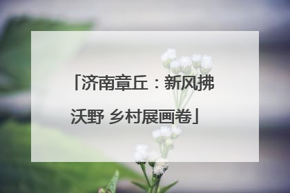 济南章丘：新风拂沃野 乡村展画卷