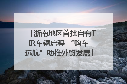 浙南地区首批自有TIR车辆启程 “购车远航”助推外贸发展