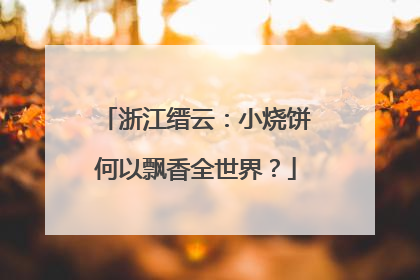 浙江缙云：小烧饼何以飘香全世界？