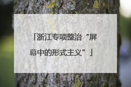 浙江专项整治“屏幕中的形式主义”