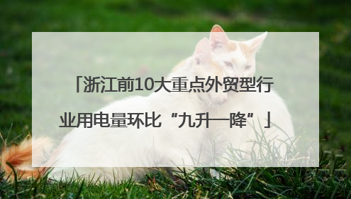 浙江前10大重点外贸型行业用电量环比“九升一降”