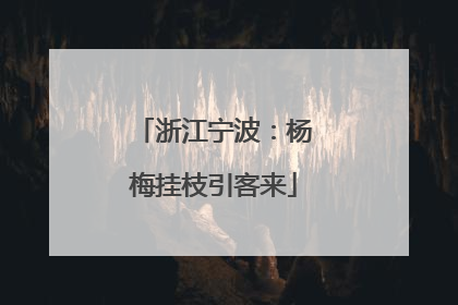 浙江宁波：杨梅挂枝引客来