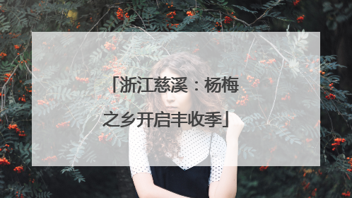 浙江慈溪：杨梅之乡开启丰收季