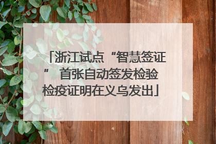 浙江试点“智慧签证” 首张自动签发检验检疫证明在义乌发出