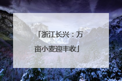 浙江长兴：万亩小麦迎丰收