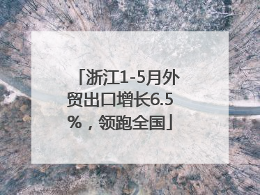 浙江1-5月外贸出口增长6.5%，领跑全国
