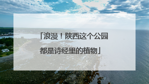 浪漫！陕西这个公园都是诗经里的植物