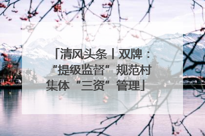 清风头条丨双牌：“提级监督”规范村集体“三资”管理
