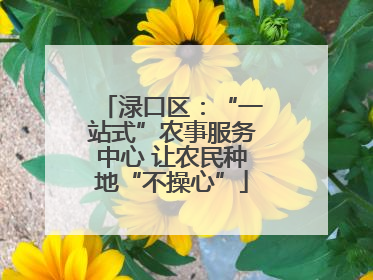 渌口区：“一站式”农事服务中心 让农民种地“不操心”
