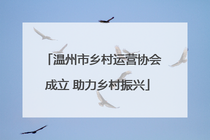 温州市乡村运营协会成立 助力乡村振兴