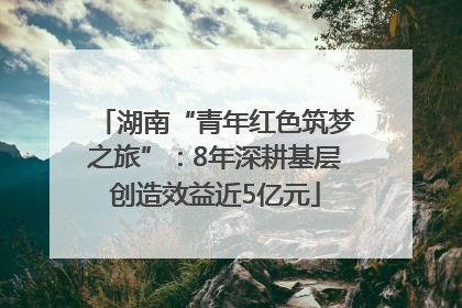 湖南“青年红色筑梦之旅”：8年深耕基层创造效益近5亿元