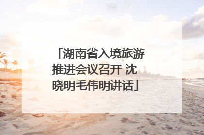 湖南省入境旅游推进会议召开 沈晓明毛伟明讲话