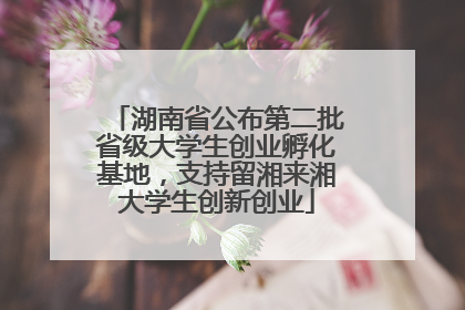 湖南省公布第二批省级大学生创业孵化基地，支持留湘来湘大学生创新创业