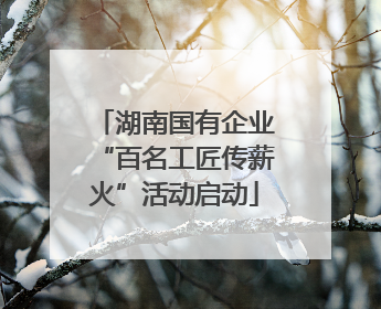 湖南国有企业“百名工匠传薪火”活动启动