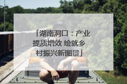 湖南洞口：产业提质增效 绘就乡村振兴新图景