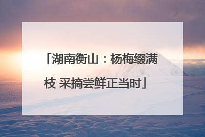 湖南衡山：杨梅缀满枝 采摘尝鲜正当时