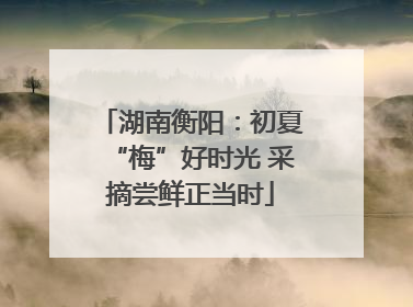 湖南衡阳：初夏“梅”好时光 采摘尝鲜正当时