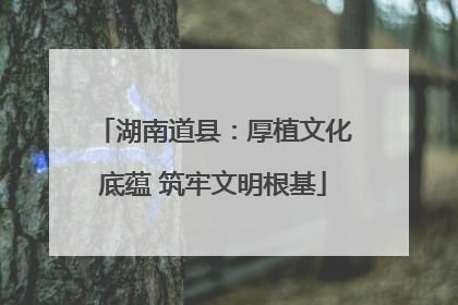 湖南道县：厚植文化底蕴 筑牢文明根基