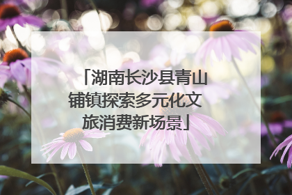 湖南长沙县青山铺镇探索多元化文旅消费新场景