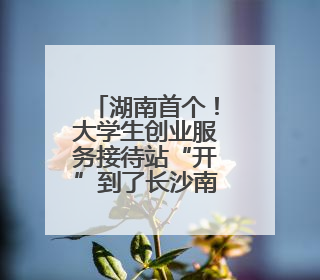 湖南首个！大学生创业服务接待站“开”到了长沙南站