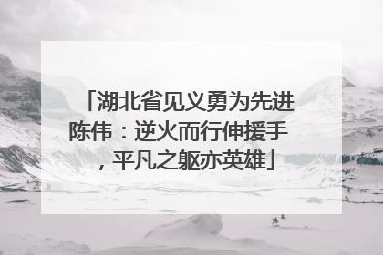 湖北省见义勇为先进陈伟：逆火而行伸援手，平凡之躯亦英雄
