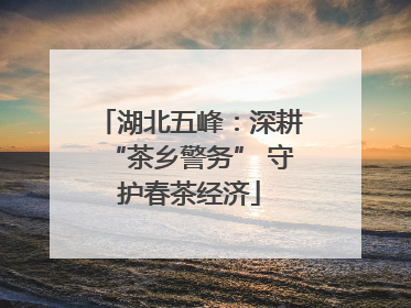 湖北五峰：深耕“茶乡警务” 守护春茶经济