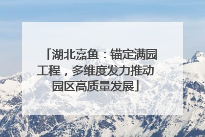 湖北嘉鱼：锚定满园工程，多维度发力推动园区高质量发展