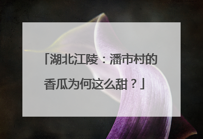 湖北江陵：潘市村的香瓜为何这么甜？