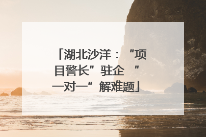 湖北沙洋：“项目警长”驻企 “一对一”解难题