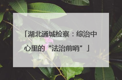 湖北通城检察：综治中心里的“法治前哨”