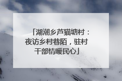 湖潮乡芦猫塘村：夜访乡村巷陌，驻村干部情暖民心