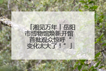 湘见万年丨岳阳市博物馆焕新开馆 首批观众惊呼“变化太大了！”