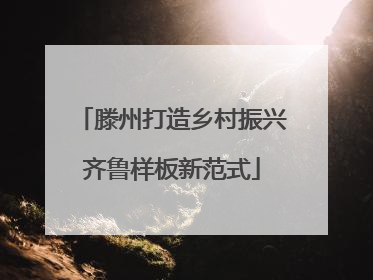 滕州打造乡村振兴齐鲁样板新范式