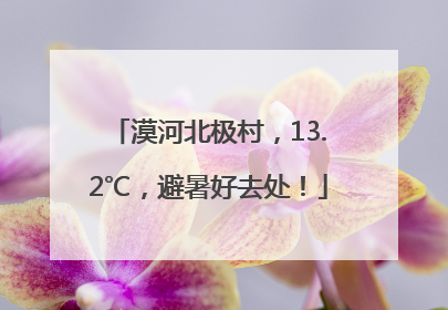 漠河北极村，13.2℃，避暑好去处！