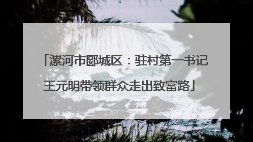 漯河市郾城区：驻村第一书记王元明带领群众走出致富路