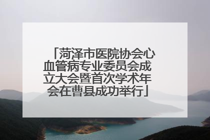 菏泽市医院协会心血管病专业委员会成立大会暨首次学术年会在曹县成功举行