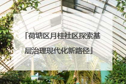 荷塘区月桂社区探索基层治理现代化新路径