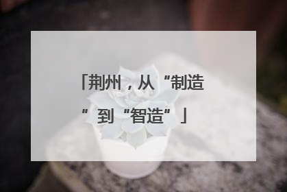荆州，从“制造”到“智造”