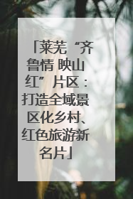 莱芜“齐鲁情 映山红”片区：打造全域景区化乡村、红色旅游新名片