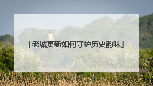 老城更新如何守护历史韵味