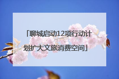 聊城启动12项行动计划扩大文旅消费空间